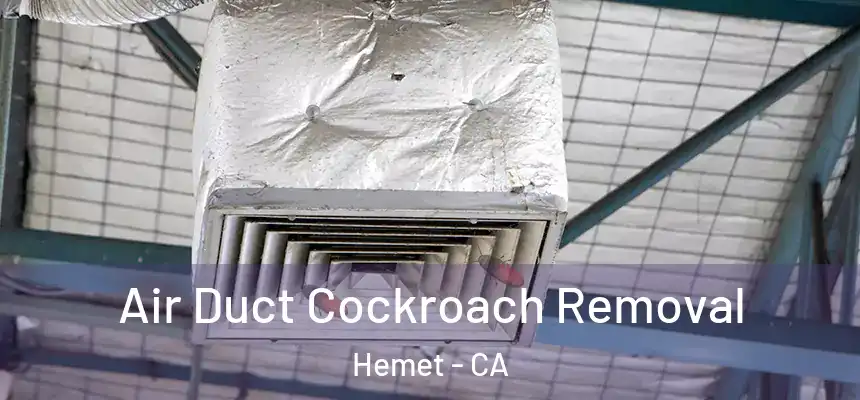 Air Duct Cockroach Removal Hemet - CA