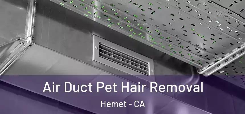  Air Duct Pet Hair Removal Hemet - CA