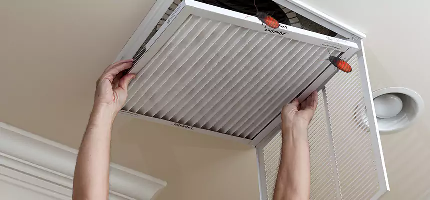 Preventive Cockroach-Proofing for Ducts in Hemet