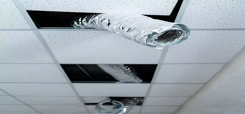 Our Air Duct Pet Hair Removal Services in Hemet, CA