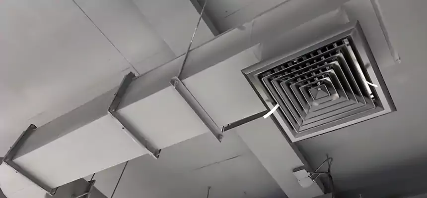 Our Pest Removal From Ducts Services in Hemet, CA