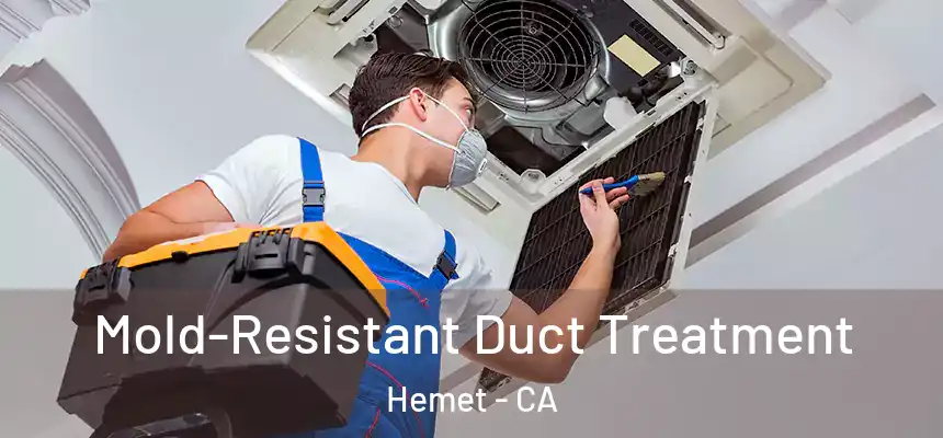  Mold-Resistant Duct Treatment Hemet - CA