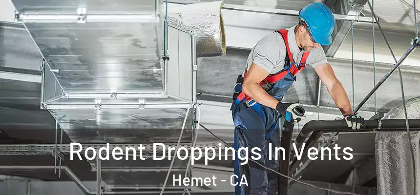 Rodent Droppings In Vents Hemet - CA