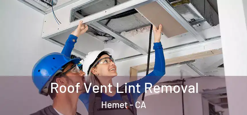  Roof Vent Lint Removal Hemet - CA