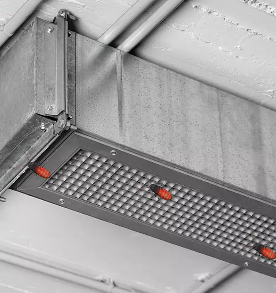 About Air Duct Cockroach Removal in Hemet, CA