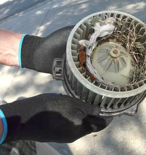 About Air Duct Mice Removal in Hemet, CA