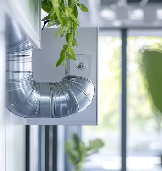 Professional Eco-Friendly Duct Cleaning Services in Hemet, CA