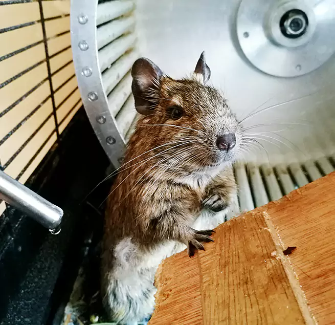 Why Homeowners & Businesses Trust Us Hemet, CA