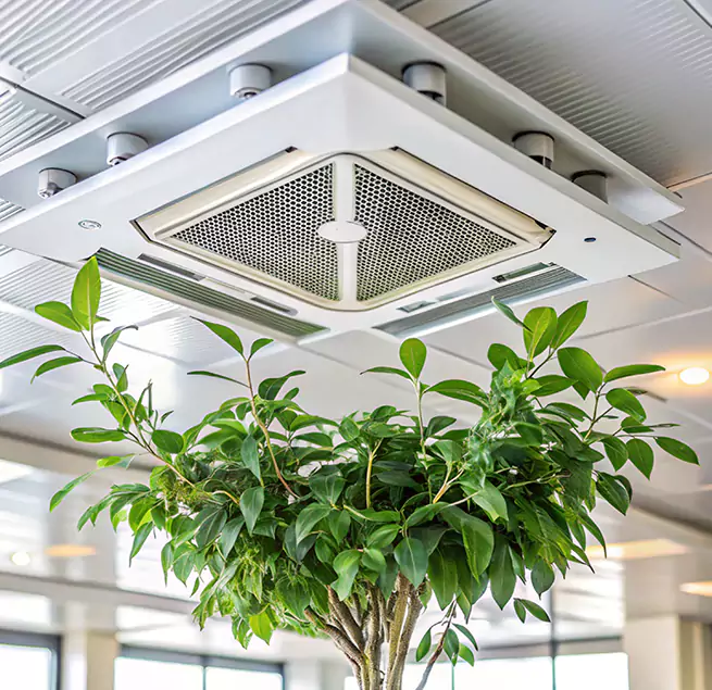 Why Homeowners & Businesses Trust Us in Hemet, CA?