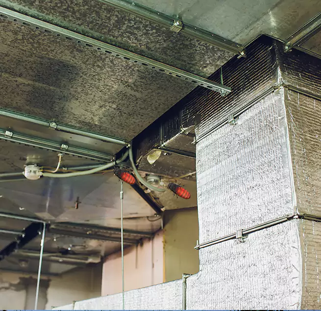 Why Homeowners & Businesses Trust Us Hemet, CA?