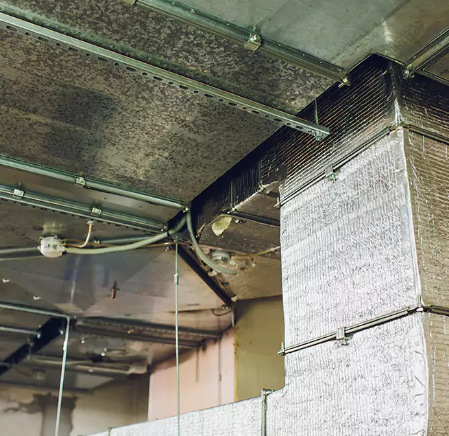 Why Homeowners & Businesses Trust Us in Hemet, CA?